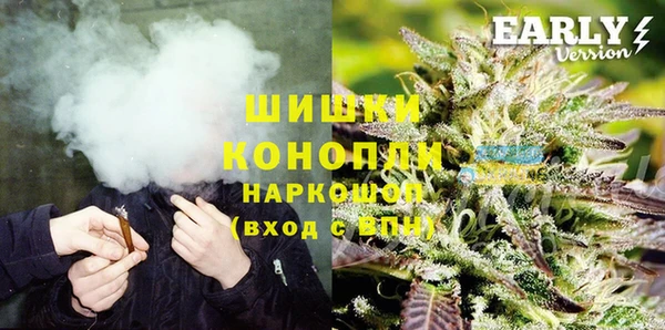 молекула духа Козловка