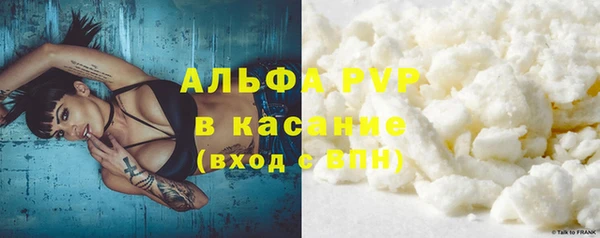 молекула духа Козловка