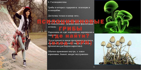 молекула духа Козловка