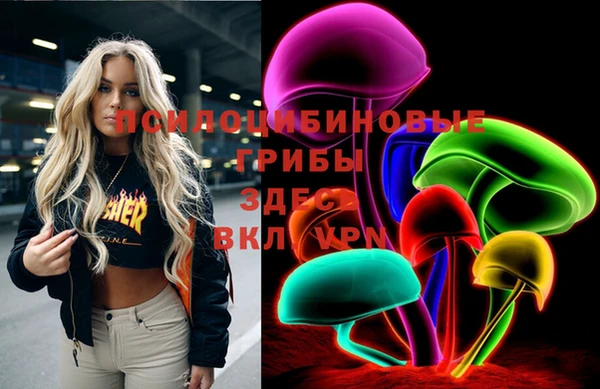 молекула духа Козловка