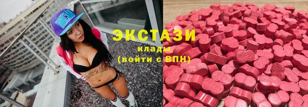 молекула духа Козловка