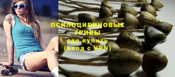молекула духа Козловка
