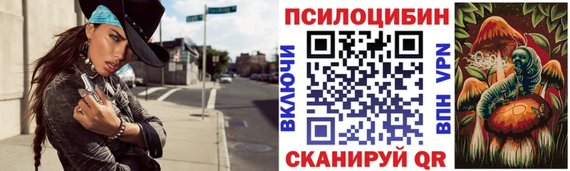 Псилоцибиновые грибы ЛСД  Купить где  Камень-на-Оби 